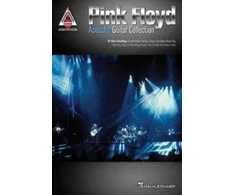 KNYGA Pink Floyd Rožinė Floyd Acoustic Guitar Collection