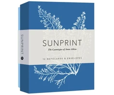 KNYGA Princeton Architectural Press Staff Sunprint Notecards