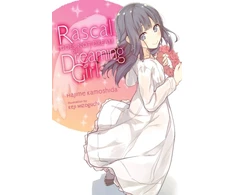 KNYGA Rascal Does Not Dream of a Dreaming Girl (light novel)