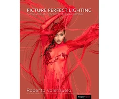 KNYGA Roberto Valenzuela Picture Perfect Lighting