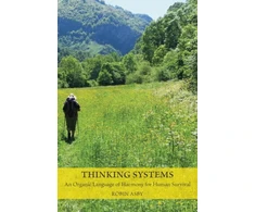 KNYGA Robin Asby Thinking Systems