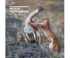 KNYGA Rosamund Kidman Cox Wildlife Photographer of the Year: Portfolio 29