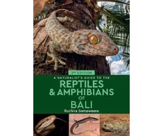 KNYGA Ruchira Somaweera Naturalist's Guide to the Reptiles &amp; Amphibians of Bali (2nd edition)