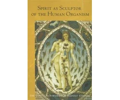 KNYGA Rudolf Steiner Spirit as Sculptor of the Human Organism
