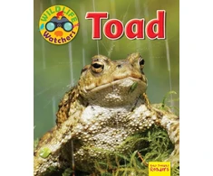 KNYGA Ruth Owen Wildlife Watchers: Toad