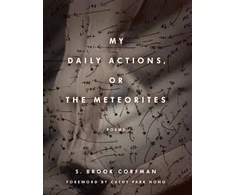KNYGA S Brook Corfman My Daily Actions, or the Meteorites