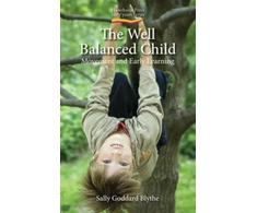 KNYGA Sally Goddard, Sally Goddard Blythe Well Balanced Child