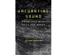 KNYGA Salome Voegelin Uncurating Sound