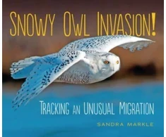 KNYGA Sandra Markle Snowy Owl Invasion!