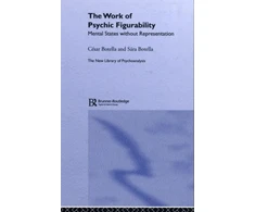 KNYGA Sara Botella Work of Psychic Figurability