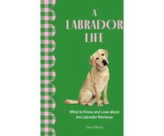 KNYGA Sara Weiss Labrador Life, What to Know and Love About the Labrador Retriever