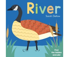 KNYGA Sarah Dellow Now you See It! River