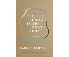 KNYGA Sarah V Schweig Ocean in the Next Room