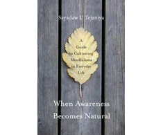 KNYGA Sayadaw U Tejaniya When Awareness Becomes Natural