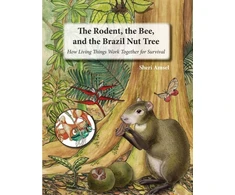KNYGA Sheri Amsel Rodent, the Bee, and the Brazil Nut Tree