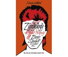 KNYGA Simon Goddard Ziggyology