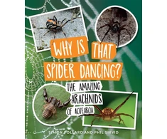 KNYGA Simon Pollard Why Is That Spider Dancing?