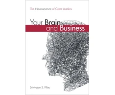 KNYGA Srinivasan S Pillay Your Brain and Business