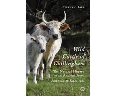 KNYGA Stephen Hall Wild Cattle of Chillingham