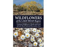 KNYGA Steve Chadde Wildflowers of the Lake Mead Region