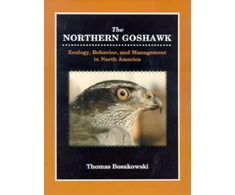 KNYGA Thomas Bosakowski Northern Goshawk