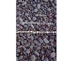 KNYGA Tim Lilburn Numinous Seditions