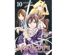 KNYGA Toka Adachi Noragami Volume 10: Stray God