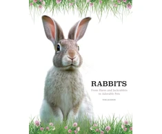 KNYGA Tom Jackson Rabbits