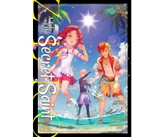 KNYGA Touya Tale of the Secret Saint ZERO (Light Novel) Vol. 2