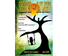 KNYGA Tyree Campbell Shelter of Daylight June 2020