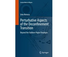 KNYGA Urko Reinosa Perturbative Aspects of the Deconfinement Transition