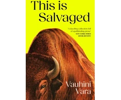 KNYGA Vauhini Vara This is Salvaged