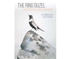 KNYGA Vic Fairbrother Ring Ouzel