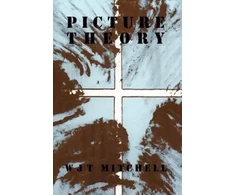 KNYGA W. J. T. Mitchell Picture Theory