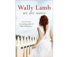KNYGA Wally Lamb We Are Vanduo