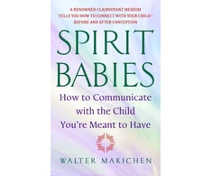 KNYGA Walter Makichen Spirit Babies, How to Communicate with the Child You're Meant to Have