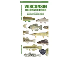 KNYGA Waterford Press Wisconsin Freshwater Fishes