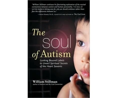 KNYGA William Stillman Soul of Autism