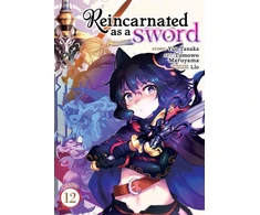 KNYGA Yuu Tanaka Reincarnated as a Sword (Manga) Vol. 12