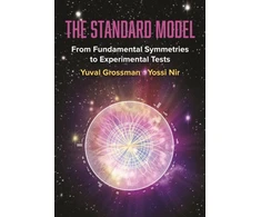 KNYGA Yuval Grossman Standard Model