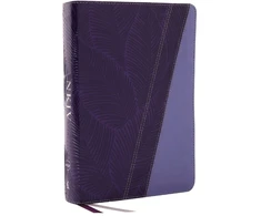 KNYGA Zondervan Publishing NKJV Study Bible, Leathersoft, Violetinė, Full-Color, Thumb Indexed, Comfort Print