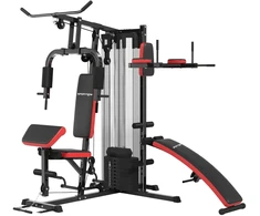 Sportnow Multifunkcinis sporto treniruoklis