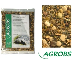 Agrobs TESTUDO Šalotinės sėklos 100g