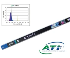 ATI Actinic 24W 550mm T5 lempa