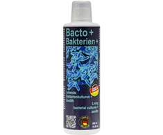 DISCUSFOOD Bacto+ 500 ml