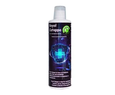 Discusfood Royal Catappa 500ml