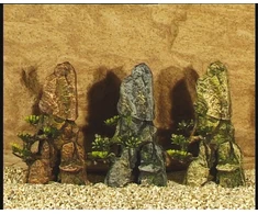 ebi Bonsai uola