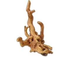 ebi COFFEE ROOT 30x22x32 cm