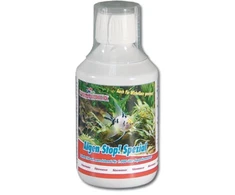Femanga Algen Stopp Spezial 250 ml