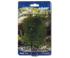 HOBBY Aquaristik 13 cm plastikinis Egeria augalas